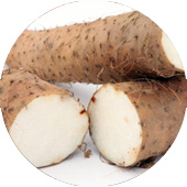 Wild Yam