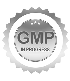 gmp certificate